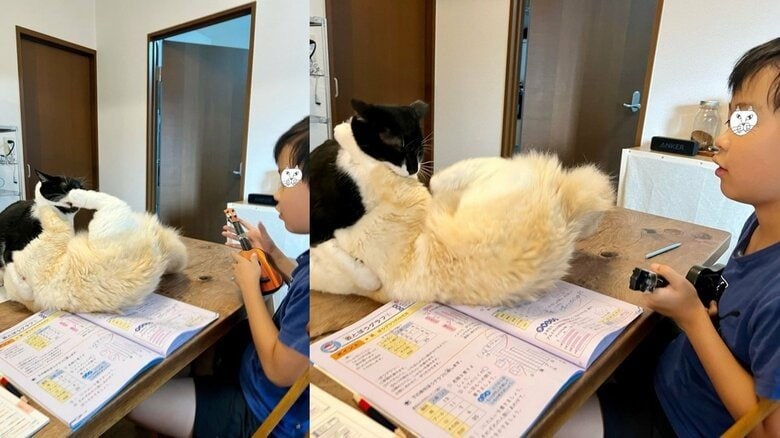 手前：いなりくん　奥：おにぎりくん