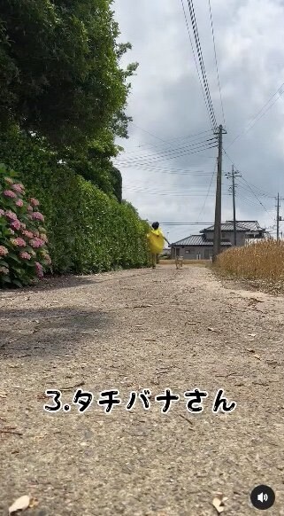 提供：タチバナさんの毎日ルーティン