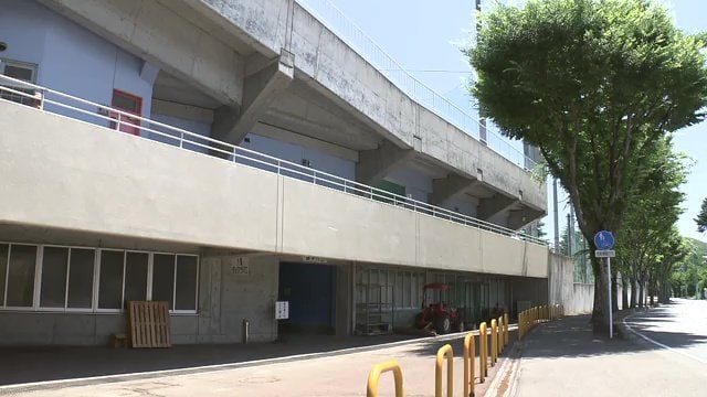 実際にファウルボールでの被害も