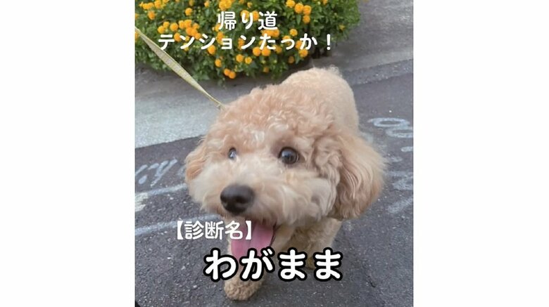 帰りはテンション高く、元気！