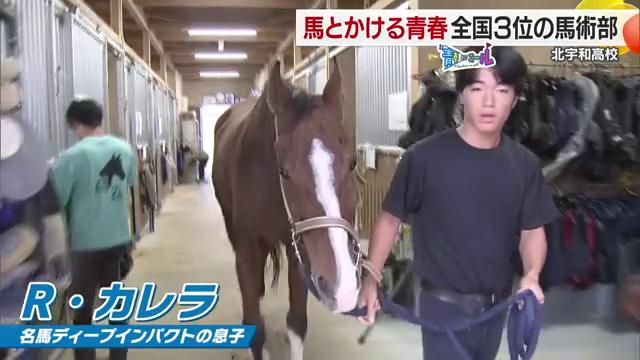 ディープインパクトの子ども「R・カレラ」