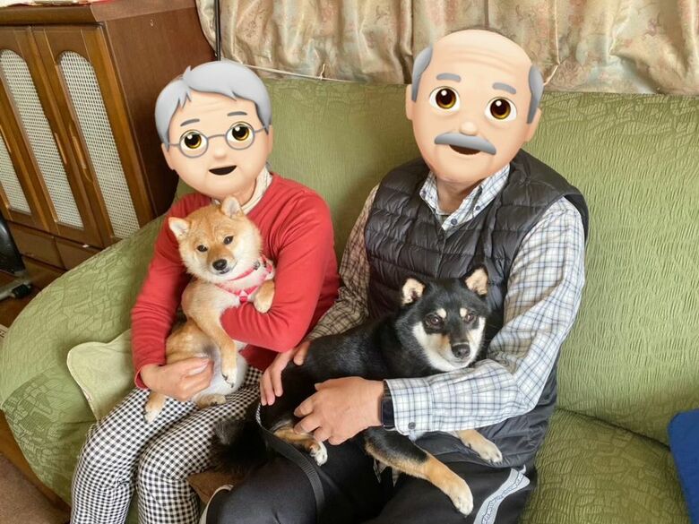 左：ばぁばとのんちゃん　右：じぃじとあさちゃん（提供：豆柴あさのんさん）