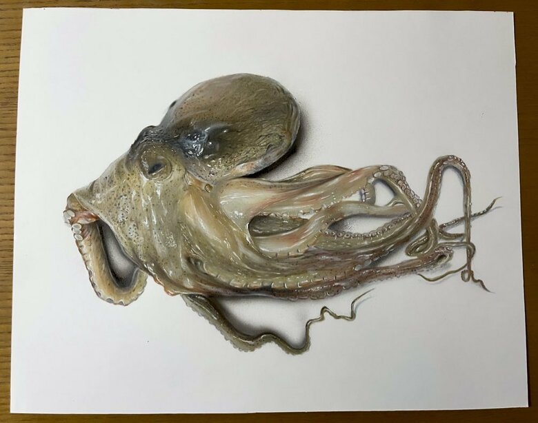 タコ（提供：ARIAさん）