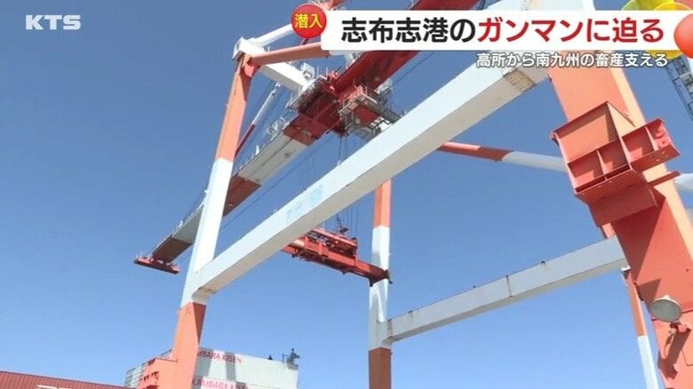 ガントリークレーン