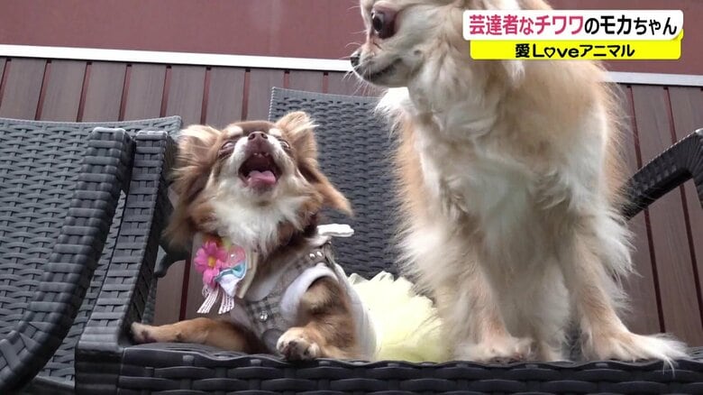 久々の再会で少し緊張？