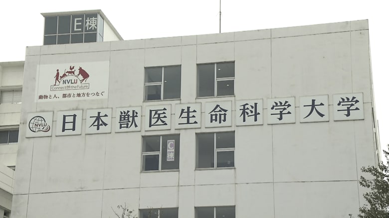 国内で「法獣医学」を学ぶ教育環境は限られ、担い手不足が課題に