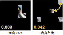 図2：画像の一部のみを見せた時の画像認識AIの確信度。海鳥と海の両方を見せることが重要だとわかる