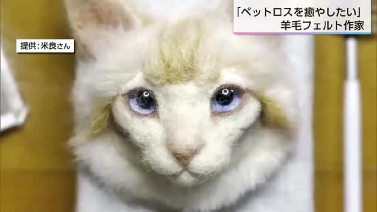 特集】亡きペットを思い出に残す羊毛フェルト作家｜FNNプライムオンライン