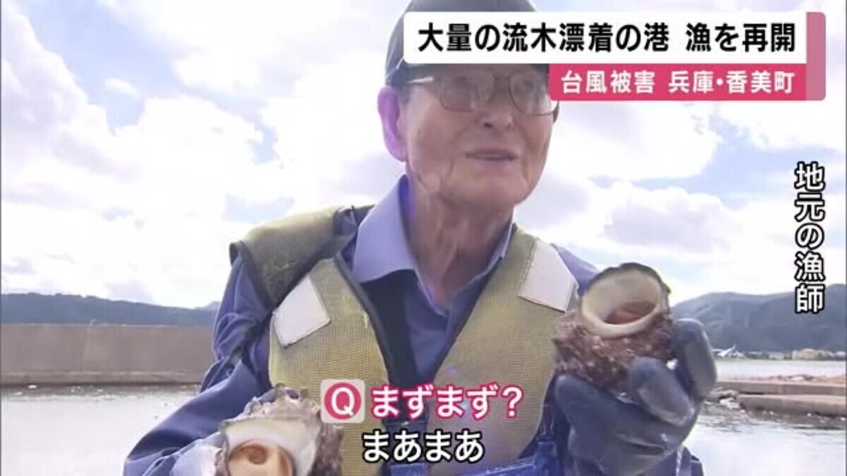 地元の海から取れました少し大きめの流木です！