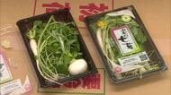 “セリやナズナ” 西条特産「春の七草』の出荷ピーク 【愛媛】