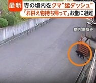 「恐怖感じた」“天空の温泉郷”で子グマ目撃　各地で出没相次ぎ警戒高まる　住職「お供え物は持ち帰って」