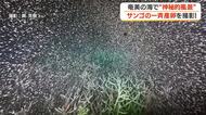【撮影成功】奄美の海でサンゴの一斉産卵　神秘的風景と再生への期待