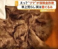 “クマが車上荒らし”で保険金不正請求の男らに禁錮刑と賠償命令　「爪痕」から自作自演が発覚　アメリカ