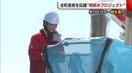 古町芸妓を応援する“柳都米プロジェクト”! 売り上げの一部が活動資金へ【新潟】