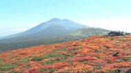 早くも見ごろ 三ツ石山の紅葉 秋の絶景をたっぷりと<岩手県>