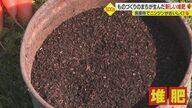 新たな「堆肥」で野菜がよりおいしく 原料は全て廃棄物　“ものづくりの街”のSDGsな取り組み【愛媛発】