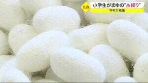 小学生がまゆの“糸繰り” 学校再編により今年が最後 大張小学校〈宮城・丸森町〉