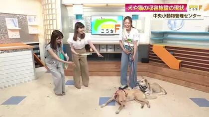 「さかがみ家」桑原みずきさんが愛犬2匹と生出演！あす開催のイベントや保護施設の現状語る【高知】