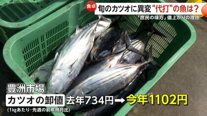 「庶民の味が高すぎる」旬の初ガツオが高値異変“まさかの代打”は天然マグロ？漁獲規制緩和で約2割安くなり買い得に