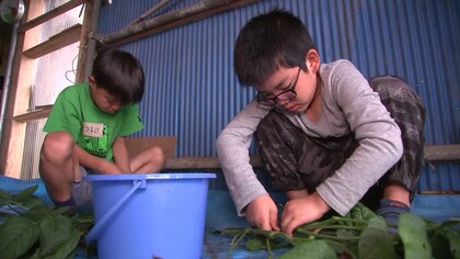 自然の中で1週間「親子地方留学」　野菜収穫に漁業や狩猟…体験から“新たなふるさと”に【岩手発】