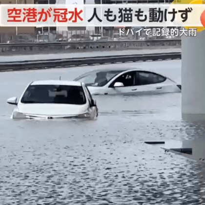1匹の猫が全身ずぶ濡れで必死にドアノブを…記録的大雨で水没した車から警察官が救出　空港では混乱続く　ドバイ　