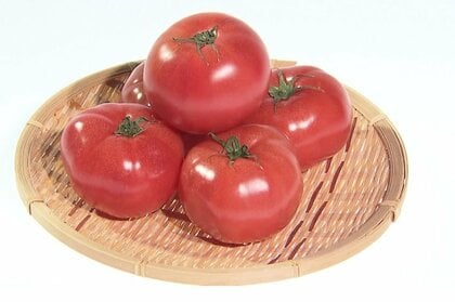 “トマトショック”がカレーも直撃　平均価格が2.4倍に上昇…主要産地・熊本県の記録的な大雨で出荷量減少