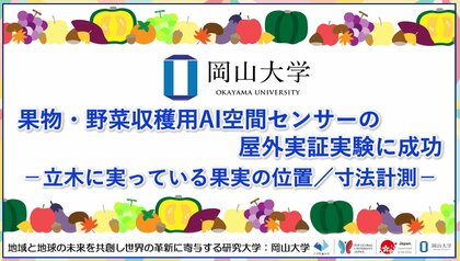 【岡山大学】果物・野菜収穫用AI空間センサーの屋外実証実験に成功-立木に実っている果実の位置/寸法計測-