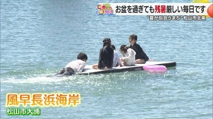 松山市北条を媛さんぽ　自分たちのルーツを守ろうという家族の思いや地元を大切に思う心“夏の暑さ”よりアツい人たちに出会った【愛媛発】