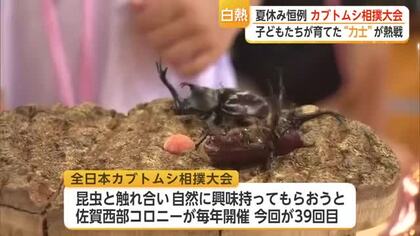 自慢のカブトムシで熱戦展開　毎年恒例「全日本カブトムシ相撲大会」今年も太良町で開催【佐賀県】