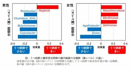 うつ病患者に特徴的な腸内細菌叢の異常を解明し、腸内細菌叢の組成データからうつ病リスクを推定する新たな方法を開発 -うつ病の病因解明と早期発見に向けて-