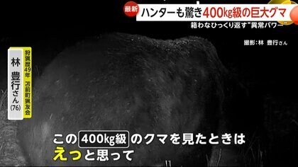 こんなデカいの見たことない」400キロ級“巨大グマ”に老練ハンター驚き