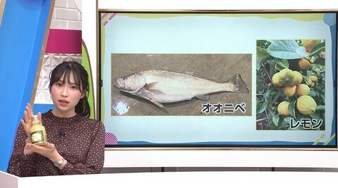 「もったいない」を利益に変える！未利用魚オオニベの“捨てられていた部位”が高級食材に、規格外レモンは香り「2倍」のシロップへ