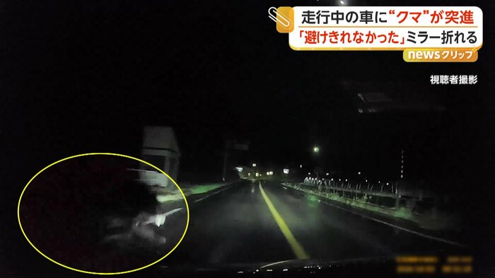 道路に飛び出す“クマ”