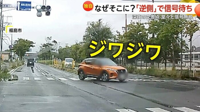 (提供:すぎのきとのぎく)