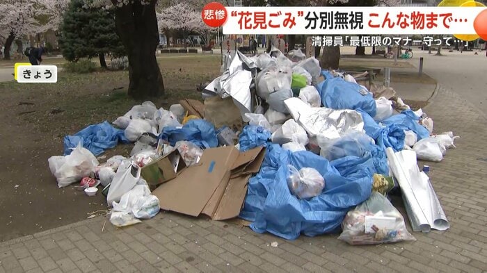 一夜明けた公園の桜の下はごみだらけ