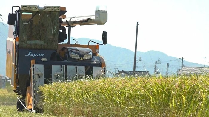 葉月みのりの収穫