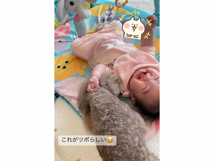 提供:KANAMEさん