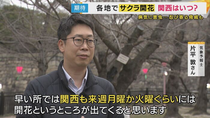 片平敦気象予報士