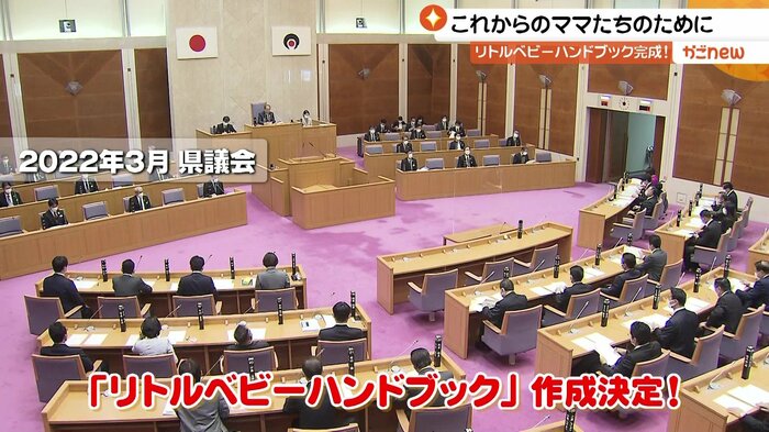 2022年3月、鹿児島県議会で作成が決定される