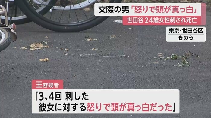 王容疑者「彼女に対する怒りで頭が真っ白だった」
