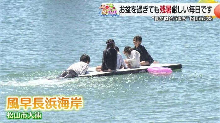 人気の海水浴場
