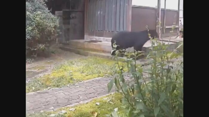 16日午前7時すぎ 富山市小杉(視聴者提供)