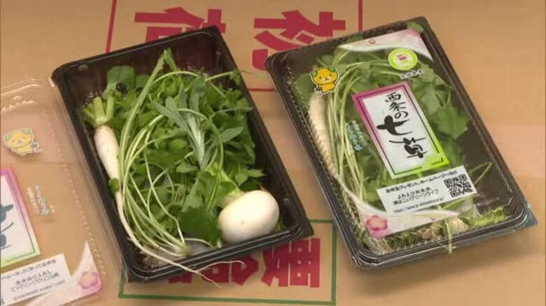 “セリやナズナ” 西条特産「春の七草』の出荷ピーク 【愛媛】｜FNNプライムオンライン