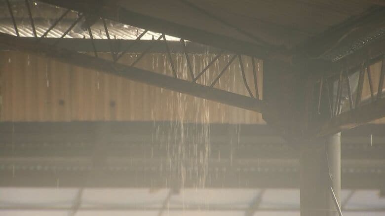 大分県に「線状降水帯半日前予測」25日明け方から昼前にかけて発生可能性　大分地方気象台｜FNNプライムオンライン