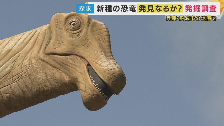 恐竜化石の聖地でボランティア発掘　化石を探し無心になって石を割り続けることにハマる人続出　20年連続で参加する人も｜FNNプライムオンライン