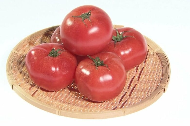 “トマトショック”がカレーも直撃　平均価格が2.4倍に上昇…主要産地・熊本県の記録的な大雨で出荷量減少｜FNNプライムオンライン