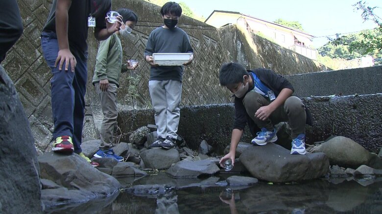 大水害から40年、ホタルが放つ慰霊の光　小学生が幼虫を飼育…氾濫した川の支流で受け継がれる活動【長崎発】