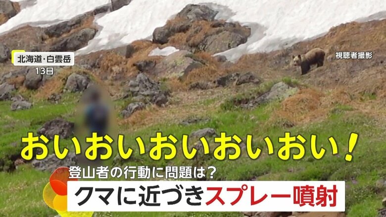「おいおいおいおい！」登山者自らクマに近づき撃退スプレー噴射！距離はわずか20メートルの危険行為…環境省「決して近づかないで」　北海道｜FNNプライムオンライン
