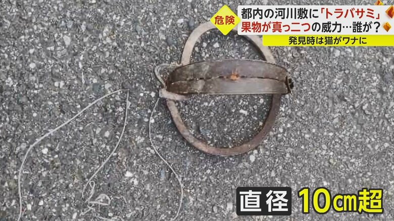 猫が足を挟まれていたトラバサミは鉄製で、直径は10cm超だった