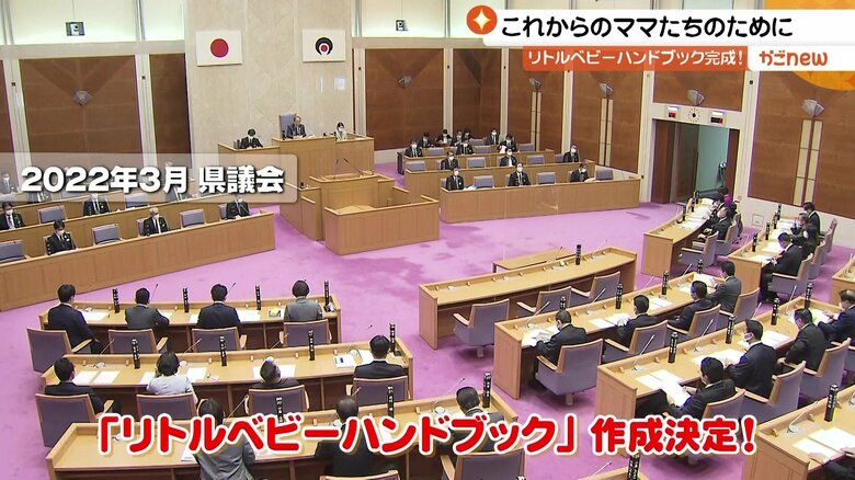 2022年3月、鹿児島県議会で作成が決定される